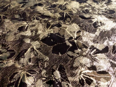 Piel de cordero cuero suave metálico hojas doradas follaje arte impresión en gamuza negra Foto 1 de 4