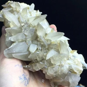 M24 280g Mineral de cristal de Calcita Deslustre Amarillo Diente Perro Minerales - Picture 1 of 8