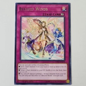 Blessed Winds - CHIM-EN074 - NM - Common - 1st ed - Yugioh - Bild 1 von 2