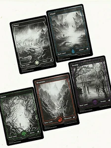 Magic FOIL Full Art Basic Land Innistrad Midnight Hunt AUSWAHL !!! - Bild 1 von 11