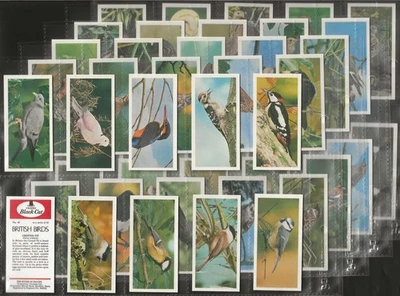 CARRERAS BLACK CAT-FULL SET- BRITISH BIRDS 1976 (50 CARDS) EXCELLENT+++ - Image 1 of 4