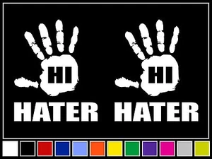 (2) 5" HI HATER Vinyl Decals Sticker *14 COLORS* JDM Stance Euro Drift - Foto 1 di 1