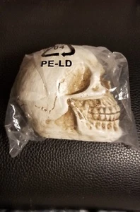 Resin Skull Head Statue  Figurine 3.5" Tall - Picture 1 of 7