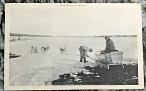 GRENFELL NEWFOUNDLAND & LABRADOR CARD OF CROSSING THE HARBOR ICE - Picture 1 of 2