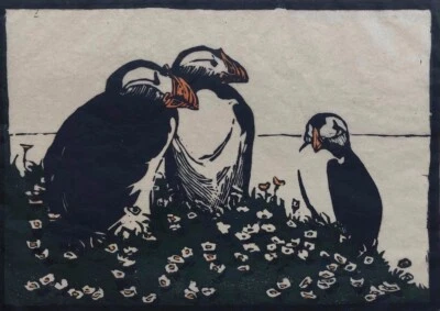 Friedrich Lissmann Seepapageien - Original Farbholzschnitt - Nachlass Signiert - Bild 1 von 4