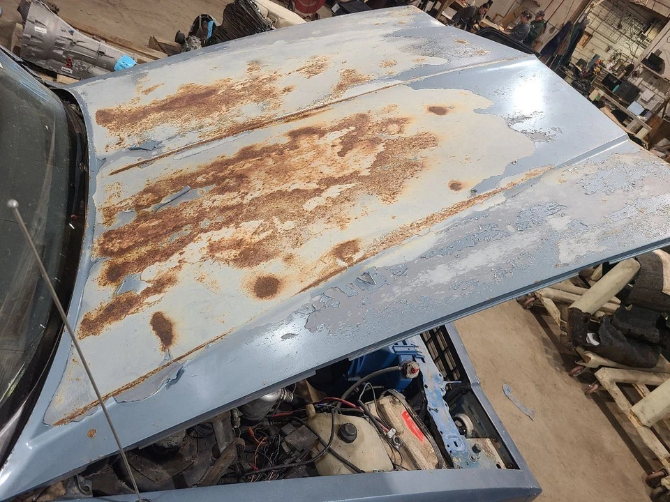 Hood Fits 81-88 MONTE CARLO 649160 — 第 1/4 张图片