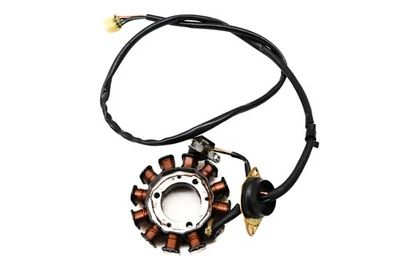 Estator Yamaha Waverunner XLT1200 03 XA1200A Foto 1 de 3