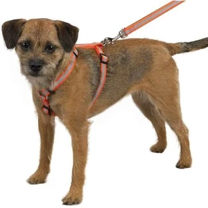 Arnés reflectante de nailon para perros Guardian Gear, 14-20 pulgadas, naranja - Imagen 1 de 3