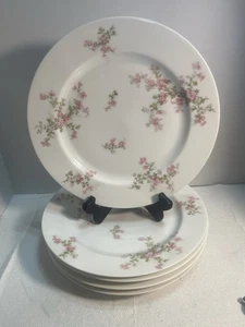 5 Theo Haviland Limoges France Lunch  Plates 8.75" Pink Asters. 2299 - Picture 1 of 9