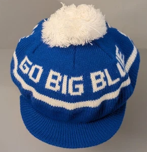 Vintage Go Big Blue Knit Hat -- Pom Beanie w/ Brim - Grannycore Kentucky Enid - Picture 1 of 11