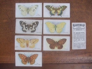 MARIPOSAS Y POLILLAS DE GASSAGE #2 - Imagen 1 de 1