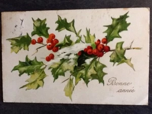 CP ILLUSTREE BONNE ANEE BRANCHE HOUX NEIGE - 56276 - Foto 1 di 2