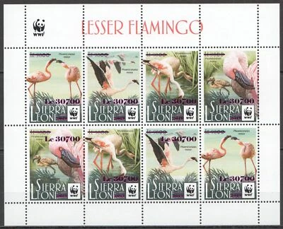 ¡NW0788! SOBREIMPRESIÓN ROSA 2019 SIERRA LEONA WWF AVES FLAMENCOS #11481-84 KB MNH Foto 1 de 2