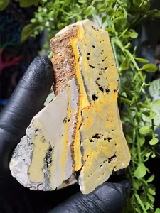 Bumblebee Bumble Bee Jasper slab 122g     4" x 2.7" x 0.5"  - Picture 1 of 17