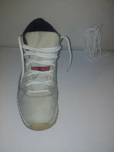 Jordans Round Thick Replacement Laces. AJ 11 Space Jam Cool Grey, Bread, - Picture 1 of 53