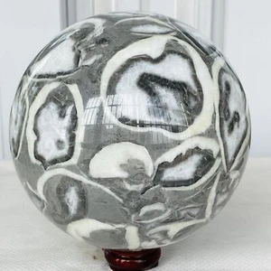 Natürliche Muschel Tausend Augen Stein Jaspis Quarz Kristall Kugel Reiki Heilung 3420G - Bild 1 von 12