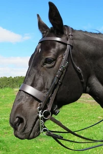 FSS Bridle Show WORKER HUNTER Hunt PLAIN FLAT Cavesson Nose Slimline Comfort NEW - Picture 1 of 1