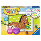 Ravensburger Paint By Numbers Little Foal Coloring Set Template Kids