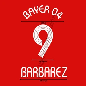 2006/07 Leverkusen Home Name Set Barbararez #9 Heat Transfer Custom Fan Patch - Bild 1 von 2