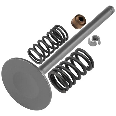 Caltric Intake Valve Kit For Polaris Sawtooth 200 2006-2007 / 0452383 0452385 — 第 1/4 张图片