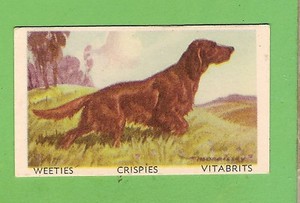 1949 FAVOURITE DOG CARD #1 - IRISH SETTER