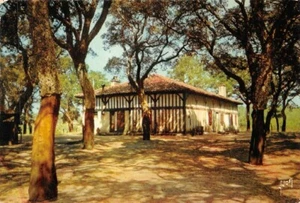Ferme Landes - Farben Und Lumière De France - Bild 1 von 2