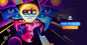 2023 EDC Las Vegas - (1) VIP 3-day Experience Pass - Picture 1 of 1