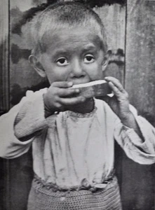 TIBORC, by Kata Kalman, Boldizsar, Moricz - 1987 [Facs:1937] photobook portraits - Imagen 1 de 1