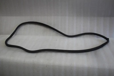 Cadillac CT5 2020 2021 lado izquierdo del conductor puerta delantera jamba sellado resistente al clima Foto 1 de 4