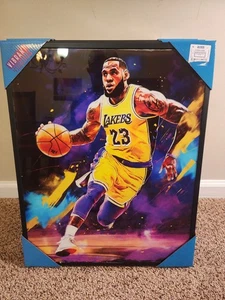 Vibrant Visions Lebron James Framed L.A. Lakers Basketball 1.75x16.5x20.5 - Picture 1 of 2