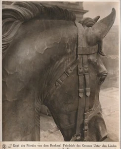 TIRAGE PHOTO	argentique Baryté Scherl Bilderdienst 1940 PHOTO DE PRESSE 18x24cm - Picture 1 of 1