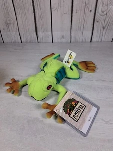 Disney World Animal Kingdom Tree Frog Beanie Plush Disney’s Animal Kingdom - Picture 1 of 8