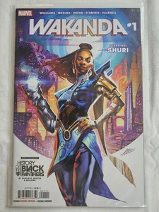 Wakanda #1 (Marvel Comics Dezember 2022) - Bild 1 von 1