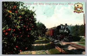 Postkarte Zug Lokomotive Dampflok fährt durch Orangenhaine Florida FL - Bild 1 von 2