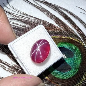 7.00 Karat Natürlich Vietnam Star Rubin Saphir 9x13x4mm Ovale Form 6-Ray - Picture 1 of 8