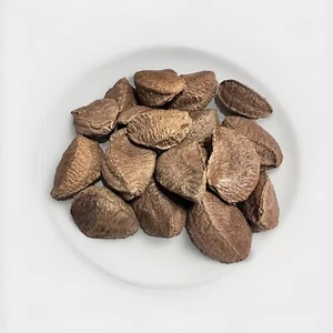 Raw in - Shell Whole Brazil Nuts 2Lb - Picture 1 of 3