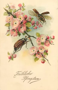 Auguri di Pentecoste 1939 coleottero insetti e fiori cromo cartolina Germania - Foto 1 di 2
