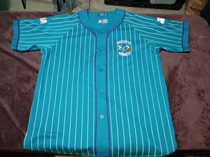 Camiseta deportiva vintage de béisbol a rayas XL verde azulado de los Charlotte Hornets de la NBA - Imagen 1 de 18