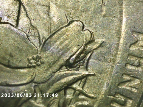2015 P Blue Ridge Parkway Quarter - Reverse Die Chip in Flowers Cover