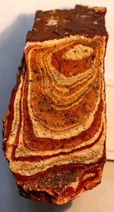 Wonderstone Nevada Rough Patterns Specimen Lapidary Slab Cab Rough Material - Picture 1 of 8