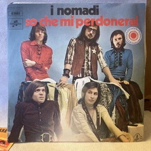 I Nomadi - Beautiful Day / So Che Mi Perdonerai 45 7" IMPORT 1971 NM+ PIC SLEEVE - Picture 1 of 6