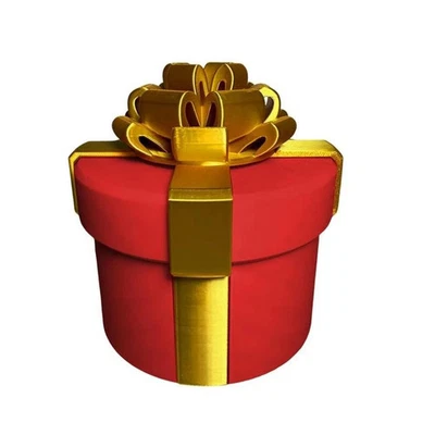 Annoying Nested Screw Gift Box 3D Printed Christmas Nesting Box Party Accessory~ - Image 1 of 4