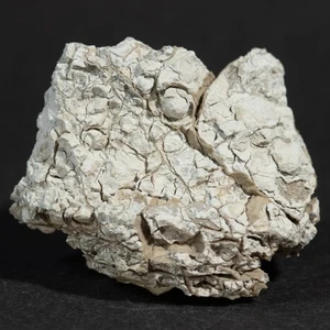 Talmessit mit Mansfieldit. Suchonkoye (Au-Hg) Pfand, Altai, Sibirien, Russland - Bild 1 von 5