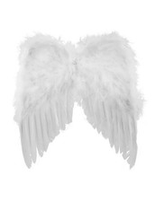 Wings White Angel Ali Angelo Piume Bianche Funny Fashion Art.53360