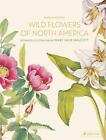 Wild Flowers of North America Pamela Henson