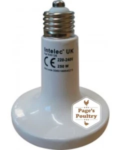 Intelec dull emitter Ceramic Infra-Red Bulb 150W Reptile Tortoise poultry - RM48 - Picture 1 of 1