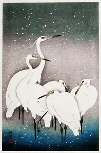 12220.Decoration POSTER.Room interior wall art.Nature illustration.Crane herons - Picture 1 of 1