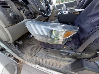 Driver Headlight Xenon HID Shelby Fits 15-22 MUSTANG 2591131 - Image 1 of 4