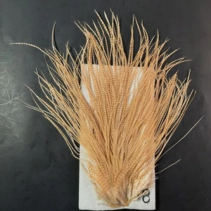 Sillín Barred Ginger Dry Mosca Gallo Hackle Largo Suave Mosca Atar Plumas #8 - Imagen 1 de 6