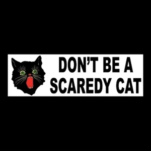 Funny "DON'T BE A SCAREDY CAT" window decal BUMPER STICKER be brave Halloween - Picture 1 of 1